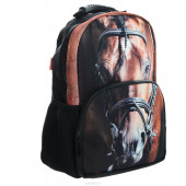 рюкзак  школьный Хатбер Horse 