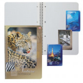 тетрадь 80л.кл. А4 гребень Office Book Хатбер