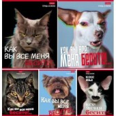 Тетрадь 48л.кл. А5 Вы все меня бесите Хатбер
