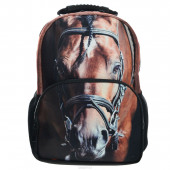 Рюкзак  школьный хатбер horse